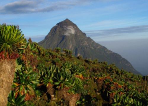 Things To Do In Virunga Region Apart From Gorilla Trekking