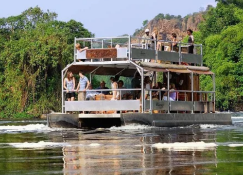 7 Days Uganda Safari Adventure
